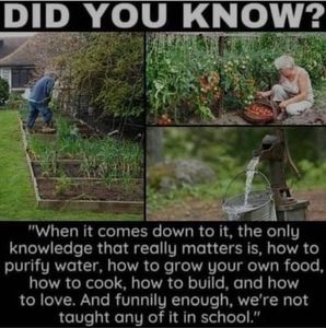 Meet your Posher, Shaun